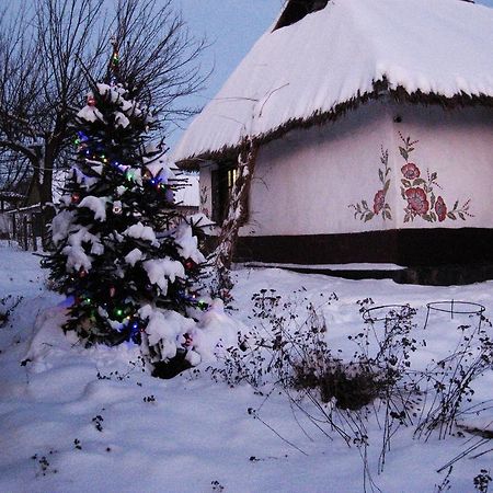 Koryakivskyi Rai Guest House Dmitrenki Exterior photo