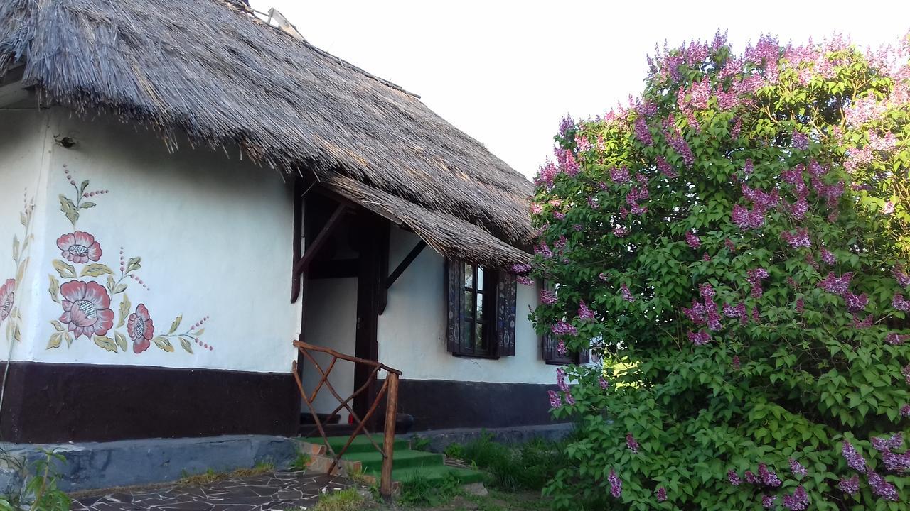 Koryakivskyi Rai Guest House Dmitrenki Exterior photo
