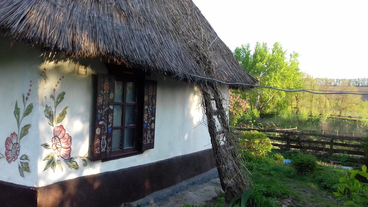 Koryakivskyi Rai Guest House Dmitrenki Exterior photo