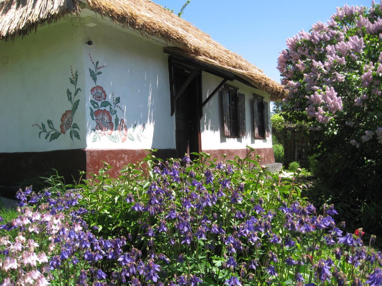 Koryakivskyi Rai Guest House Dmitrenki Exterior photo